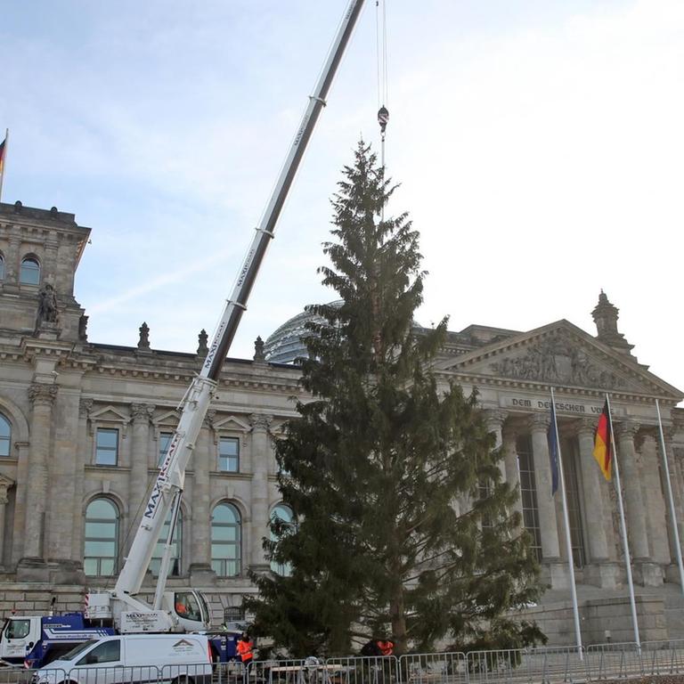 24.11.2020, Berlin: Mit einem Kran wird vor dem Reichstagsgebäude, dem Sitz des Deutschen Bundestages, der diesjährige Weihnachtsbaum aufgestellt. Foto: Wolfgang Kumm/dpa | Verwendung weltweit