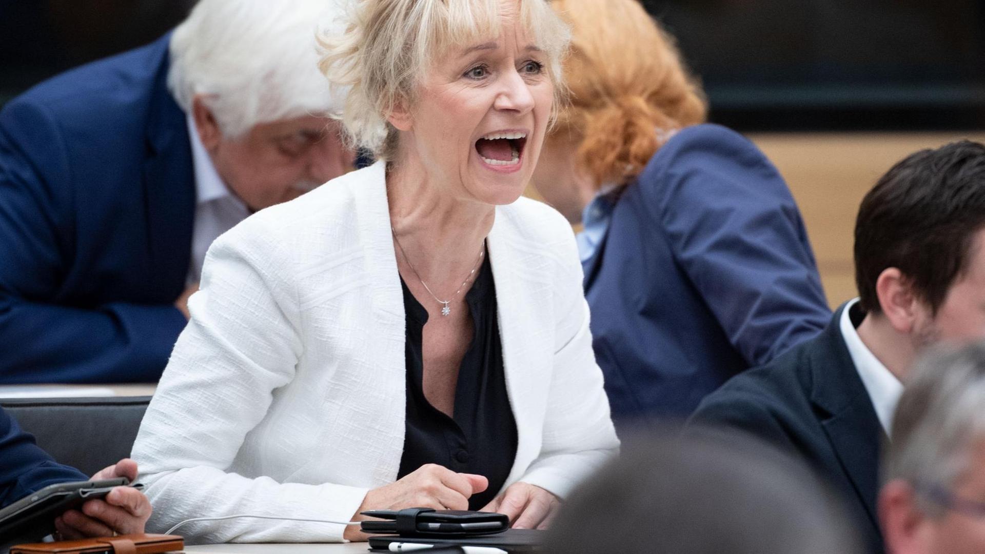 Christina Baum, Abgeordnete der Fraktion der AfD im Landtag von Baden-Württemberg, ruft während einer Plenarsitzung im Plenarsaal dazwischen. Christina Baum, Abgeordnete der Fraktion der AfD im Landtag von Baden-Württemberg, ruft während einer Plenarsitzung im Plenarsaal dazwischen.