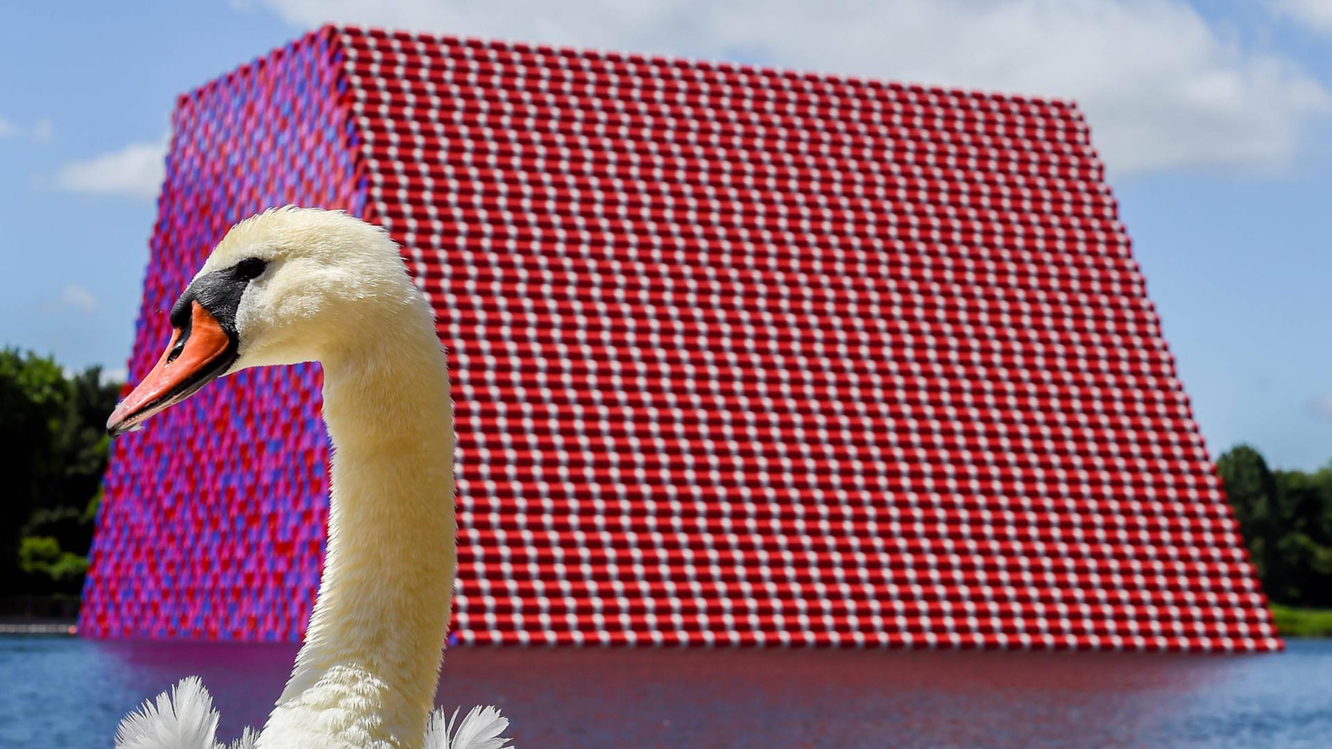 Leider liegt für dieses Bild keine Bildbeschreibung vor Leider liegt für dieses Bild keine Bildbeschreibung vor