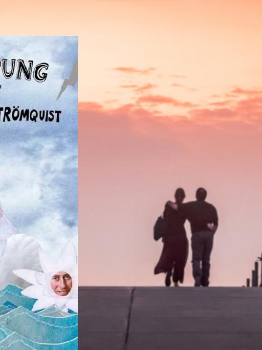 Buchcover Liv Strömquist: Der Ursprung der Liebe