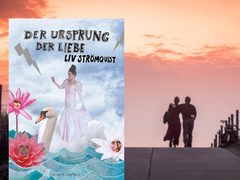 Buchcover Liv Strömquist: Der Ursprung der Liebe
