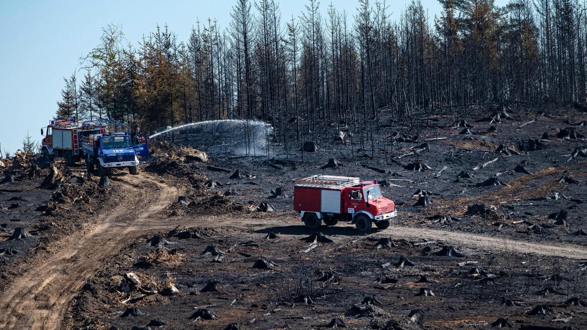 Löschfahrzeuge fahren durch ein abgebranntes Waldstück bei Gummersbach