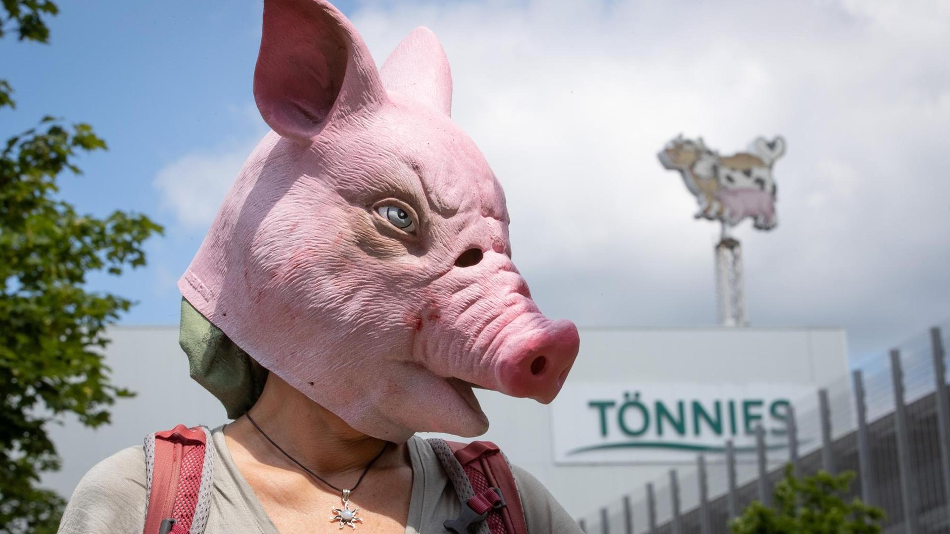 Eine Person trägt eine Schweine-Maske und steht während einer Demonstration gegen Tierquälerei vor dem Betriebsgelände der Fleischfabrik Tönnies. Eine Person trägt eine Schweine-Maske und steht während einer Demonstration gegen Tierquälerei vor dem Betriebsgelände der Fleischfabrik Tönnies.