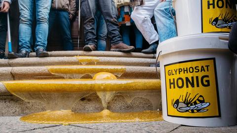 Glyphosatbelasteter Honig läuft die Treppen vor dem Landwirtschaftsministerium hinunter.