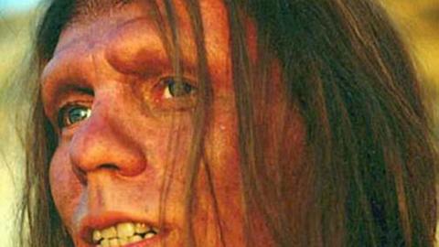 Die Neandertaler sind die engsten Verwandten des modernen Menschen.