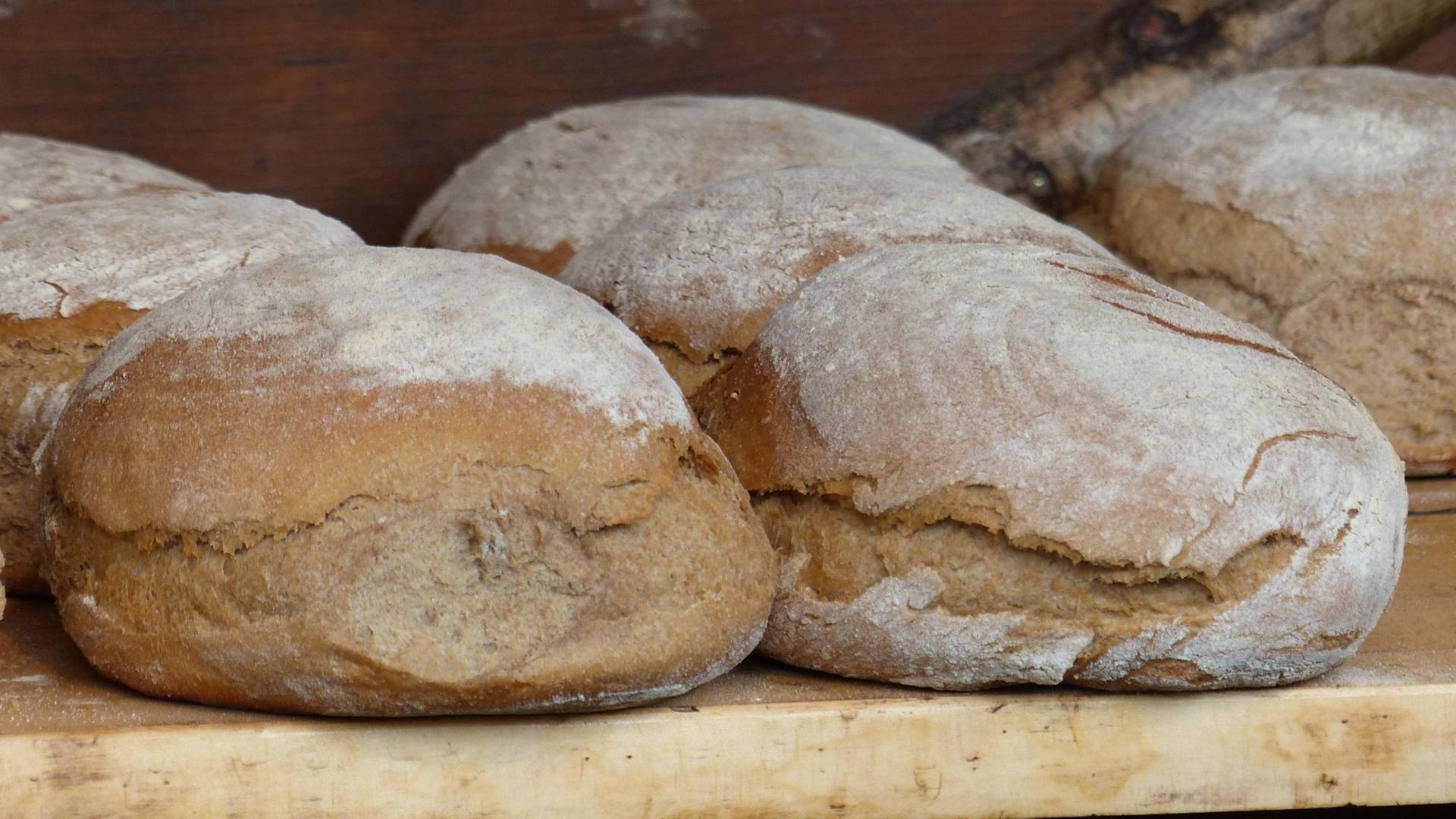 Mehrere Laibe frisch gebackenen Holzofenbrots liegen auf einem Holzregeal. Mehrere Laibe frisch gebackenen Holzofenbrots liegen auf einem Holzregeal.