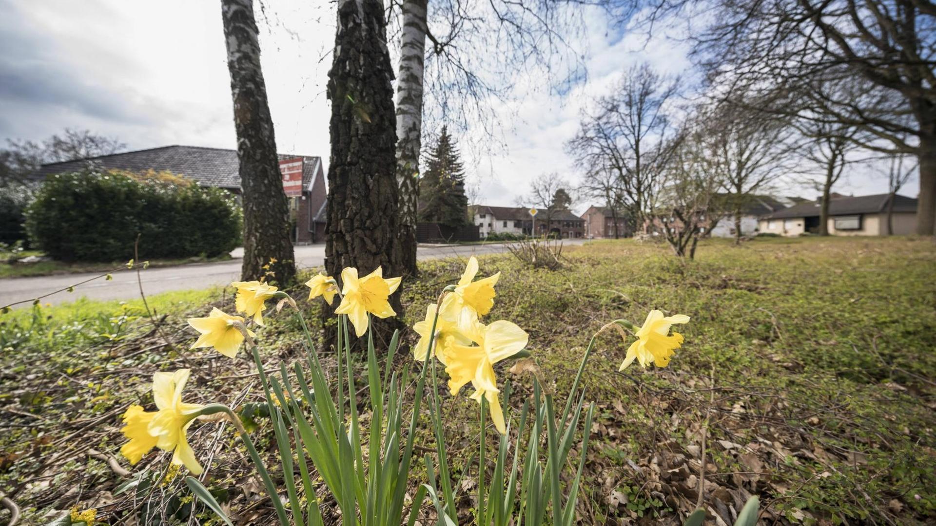 Das Dorf Kuckum Das Dorf Kuckum