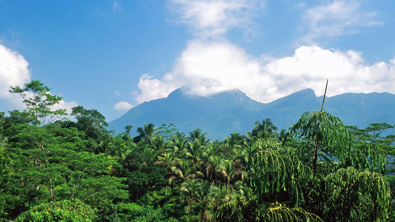 Blick auf den wolkenverhangenen Adam's Peak Blick auf den wolkenverhangenen Adam's Peak