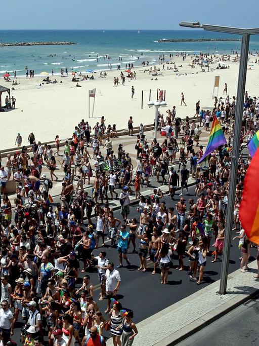 Jährlich nehmen hunderte von Menschen an der Gay Pride Parade in Tel Aviv, Israel, teil (13 June 2014)