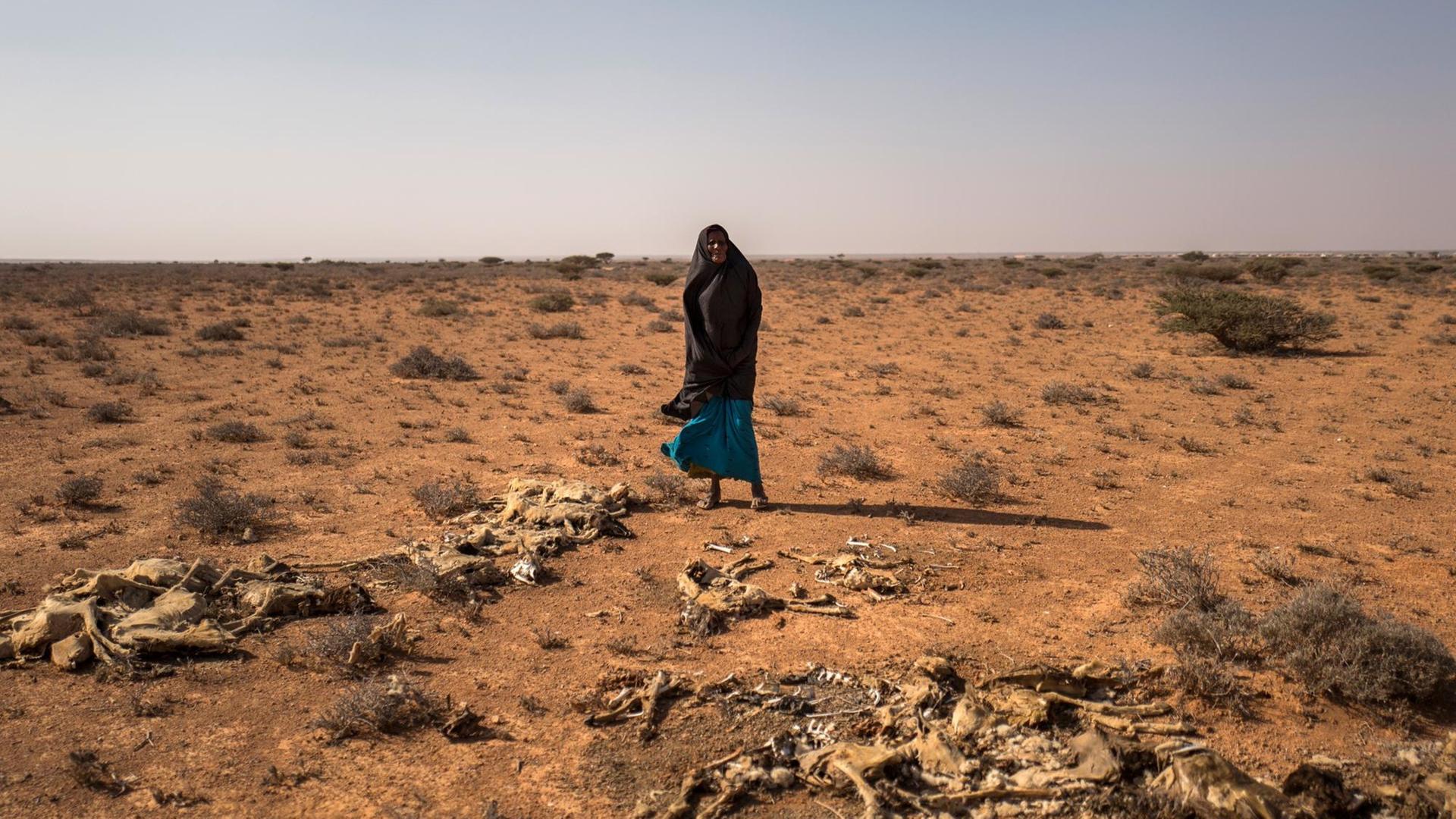 Eine Frau steht auf einer ausgetrockneten Ebene vor blauem Himmel. Im roten Sand liegen die Skelette verhungerter Tiere.