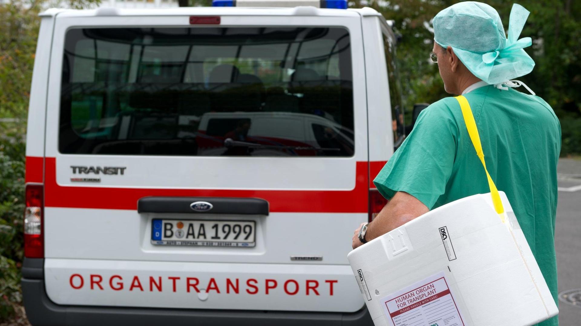 Der Bote trägt grüne Hosen, einen grünen Kittel und eine Haube. Er bringt den weißen Behälter, der über seine Schulter hängt, zu einem Transporter mit der Aufschrift "Organtransport". Der Bote trägt grüne Hosen, einen grünen Kittel und eine Haube. Er bringt den weißen Behälter, der über seine Schulter hängt, zu einem Transporter mit der Aufschrift "Organtransport".