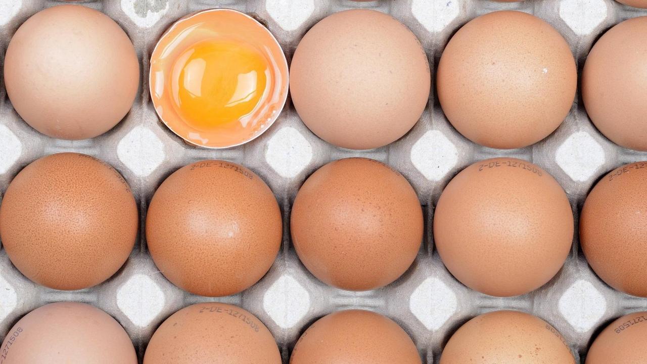 Hühnereier in einem Karton Hühnereier in einem Karton