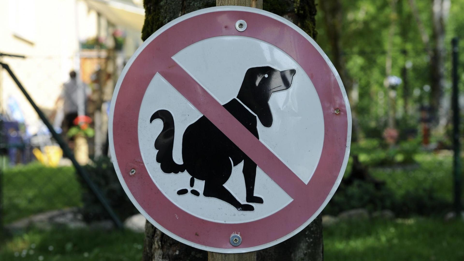 Ein Hinweisschild mit einem durchgestrichenen kotenden Hund. Ein Hinweisschild mit einem durchgestrichenen kotenden Hund.