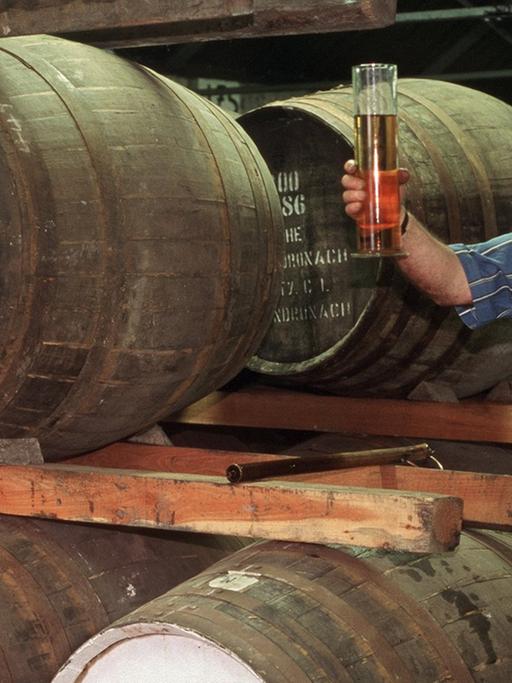 Zur Reifung wird der Whisky in der Schottischen Whisky-Brennerei "The Glendronach" in Holzfässern gelagert, aufgenommen 1999.