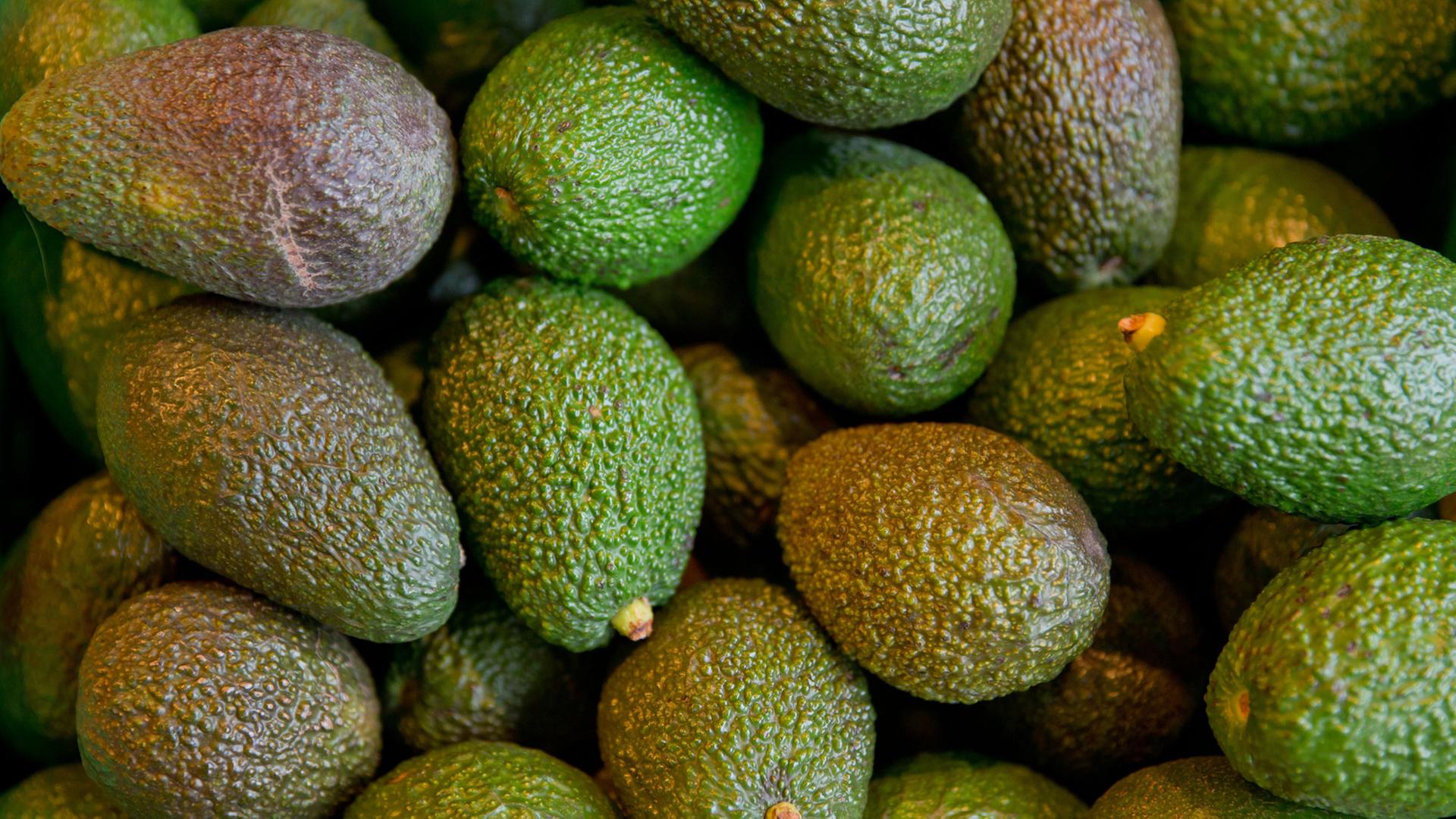 Bio-Avocado liegen in einer Kiste in einem Biosupermarkt in Nürnberg Bio-Avocado liegen in einer Kiste in einem Biosupermarkt in Nürnberg