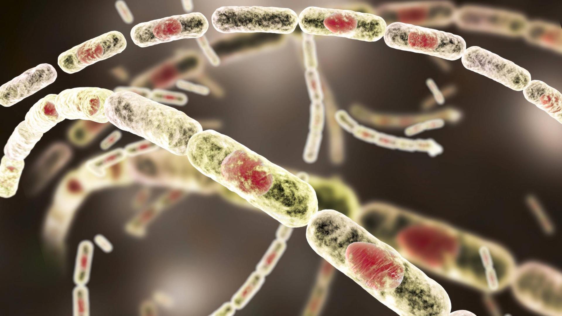 Der Milzbranderreger Bacillus anthracis in einer Computer-Illustration