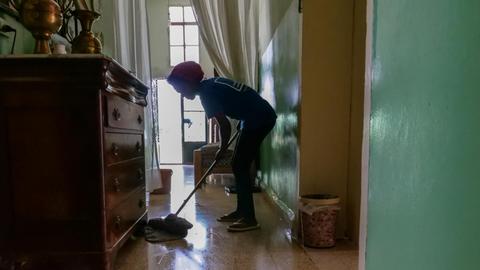 Zola putzt jeden Tag das ganze Haus.
