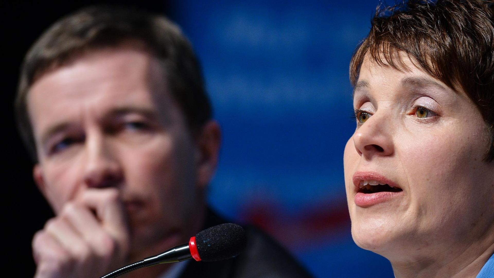 AfD-Parteisprecherin Frauke Petry und Bundesparteichef Bernd Lucke AfD-Parteisprecherin Frauke Petry und Bundesparteichef Bernd Lucke