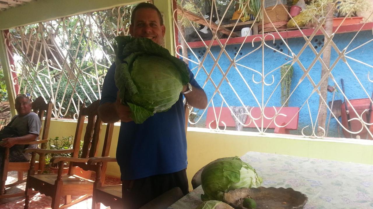 Fernando Donis mit einem frisch geernteten Kohlkopf. Fernando Donis mit einem frisch geernteten Kohlkopf.