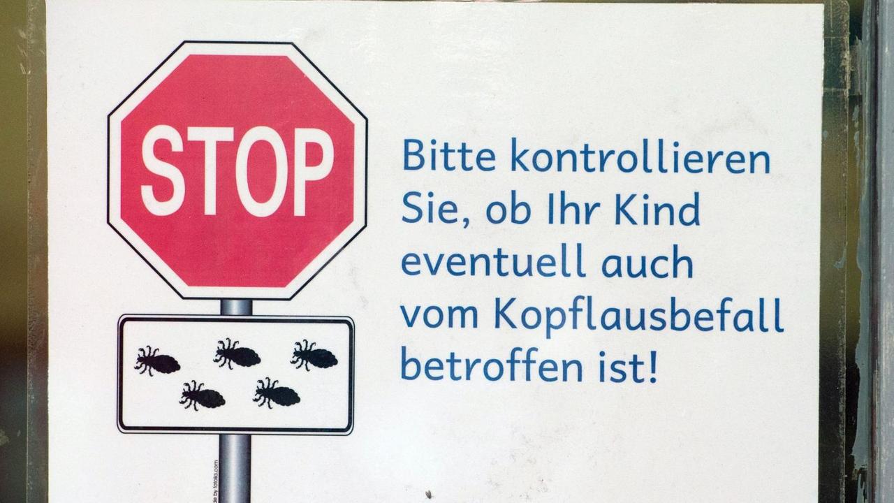 Ein Schild mit Aufschrift "Bitte kontrollieren Sie, ob Ihr Kind eventuell auch vom Kopflausbefall betroffen ist!" hängt am 23.03.2015 in einer Grundschule in Erfurt (Thüringen). Foto: Sebastian Kahnert | Verwendung weltweit