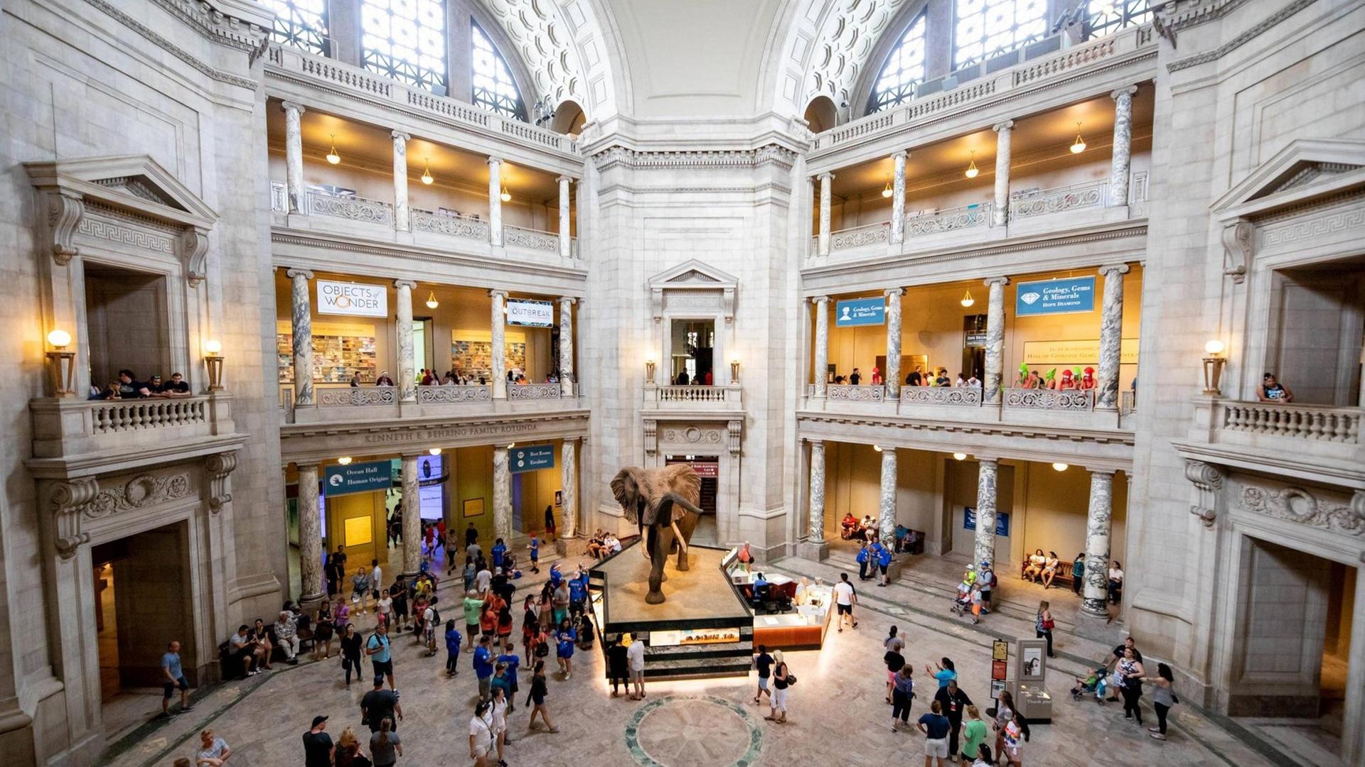 Das Smithsonian National Museum of Natural History in Washington Das Smithsonian National Museum of Natural History in Washington