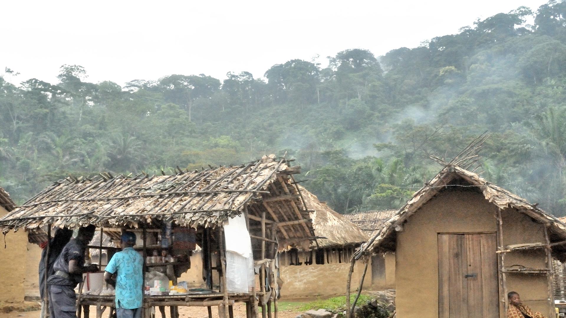 In der Ortschaft Luvungi in der Provinz Nord-Kivu im Osten der Demokratischen Republik Kongo wurden 2010 mindestens 242 Frauen, darunter auch 20 Kinder von den FDLR-Rebellen (Demokratische Kräfte zur Befreiung Ruandas) vergewaltigt.