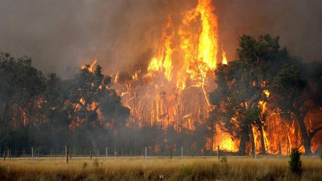  Rauch und Feuer der Buschbrände bei Tonimbuk im Februar 2020