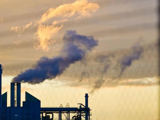 Rauchende Schornsteine im Industriepark Frankfurt-Höchst, darüber pastellfarbene Wolken, Abendsonne, im Vordergrund ein unscharfer Zaun.