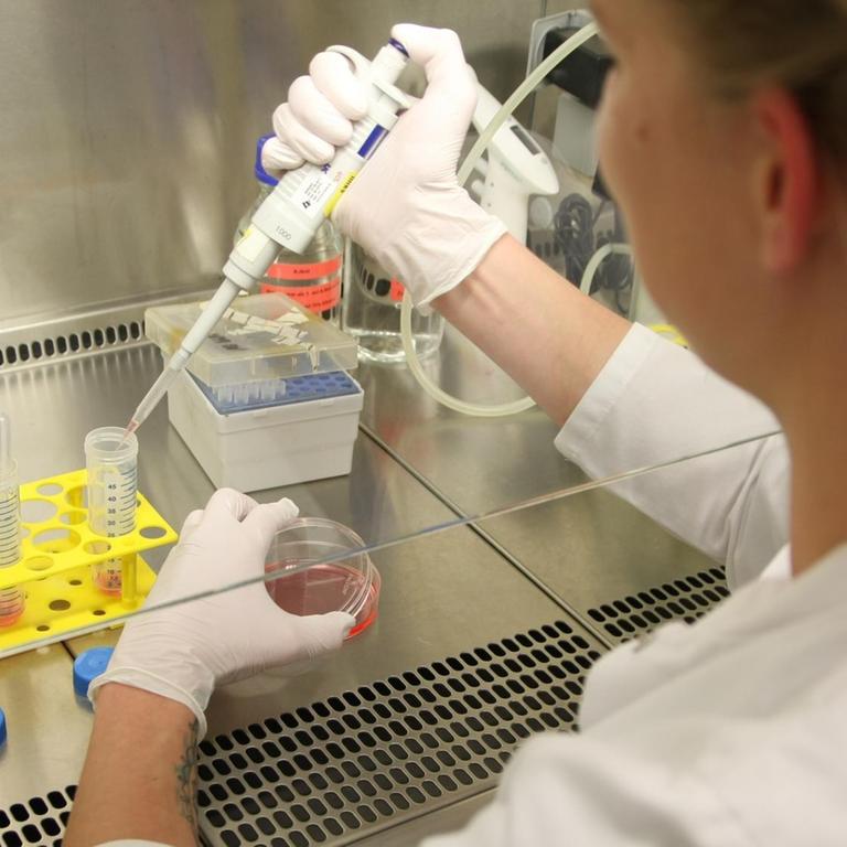Eine Wissenschaftlerin arbeitet in einem Labor. Wissenschaftler können mit Hilfe der Gen-Schere CRISPR-Cas9 Erbmaterial gezielt verändern.