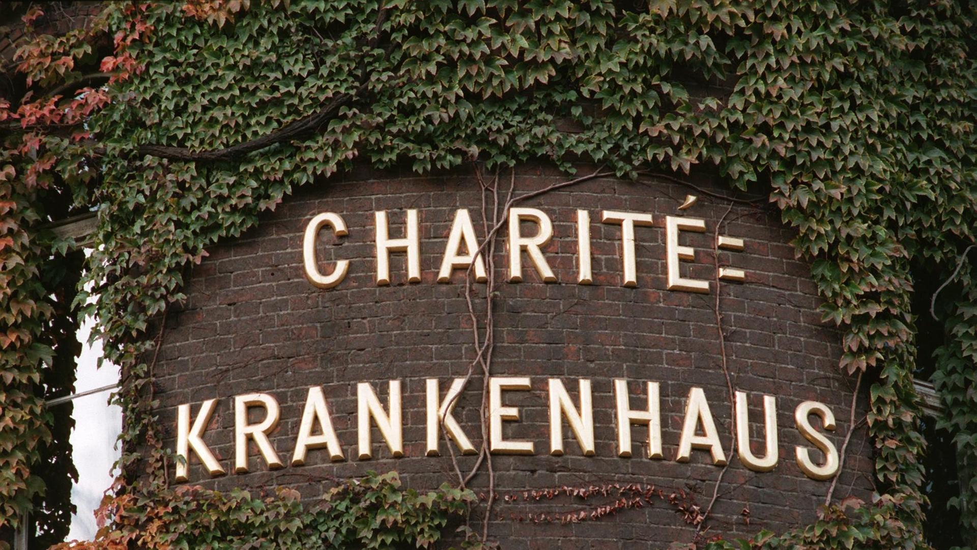Ein Schriftzug des Berliner Charité Krankenhauses. Ein Schriftzug des Berliner Charité Krankenhauses.