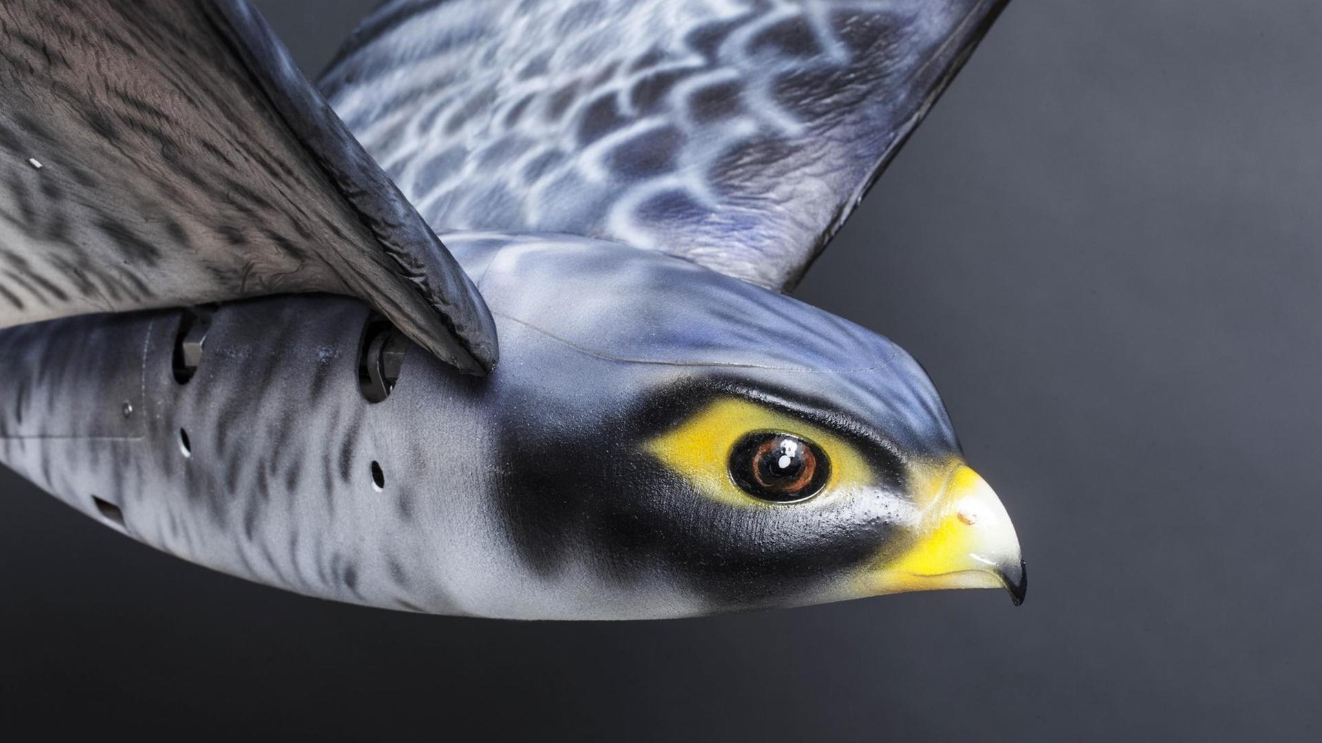 Künstlicher Falke (Drohne) Künstlicher Falke (Drohne)
