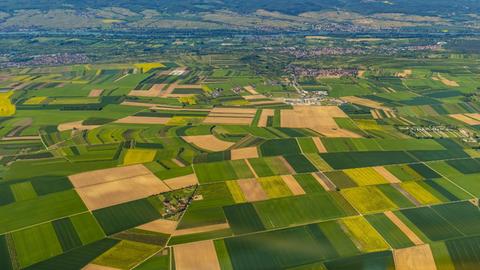 Luftaufnahme landwirtschaftlicher Flächen mit flickenteppichartigen Feldern.
