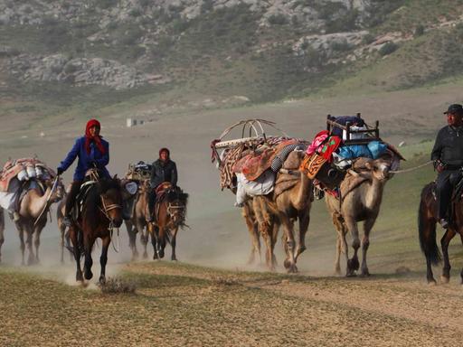 Viehhüter treiben Schafe und Käber über das Grasland im Altai.
