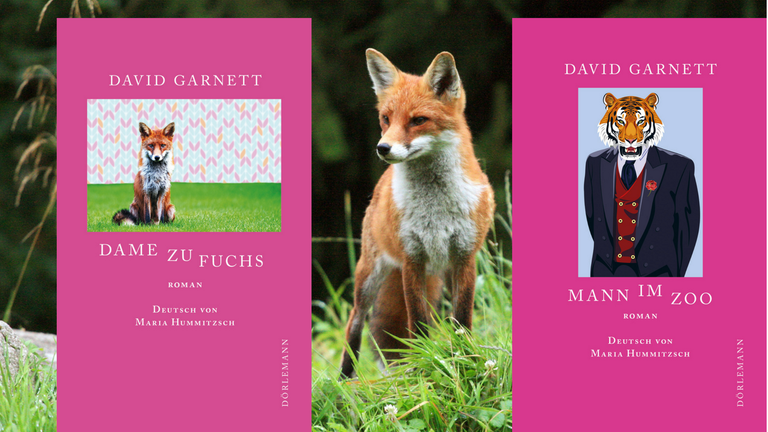 Buchcover David Garnett: Frau zu Fuchs und Mann im Zoo Buchcover David Garnett: Frau zu Fuchs und Mann im Zoo