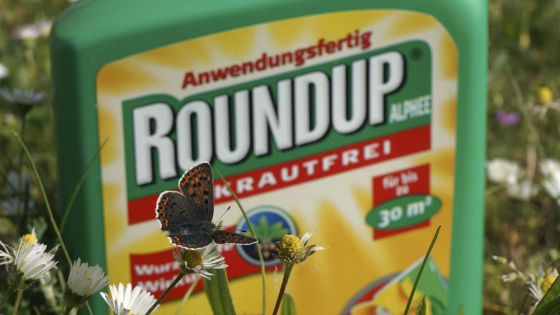 Ein Schmetterling sitzt auf einer Blume vor einer Plastikflasche mit der Aufschrift "Roundup". Ein Schmetterling sitzt auf einer Blume vor einer Plastikflasche mit der Aufschrift "Roundup".