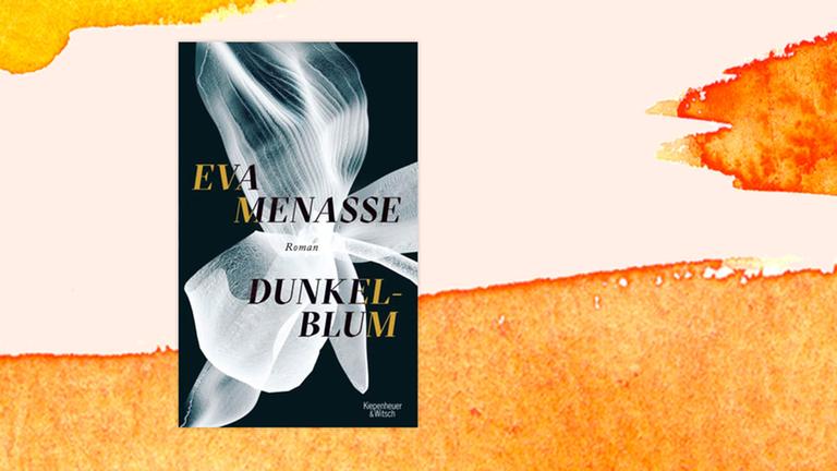 Das Buchcover "Dunkelblum" von Eva Menasse ist vor einem grafischen Hintergrund zu sehen.