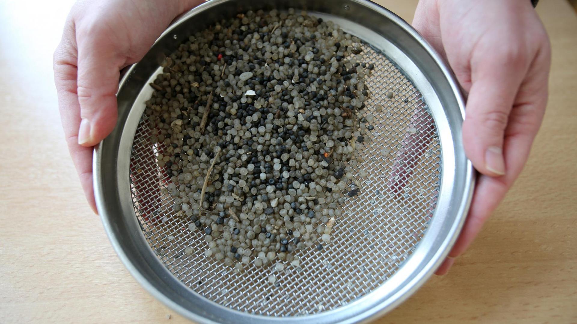 Mikroplastik in einem Sieb Mikroplastik in einem Sieb