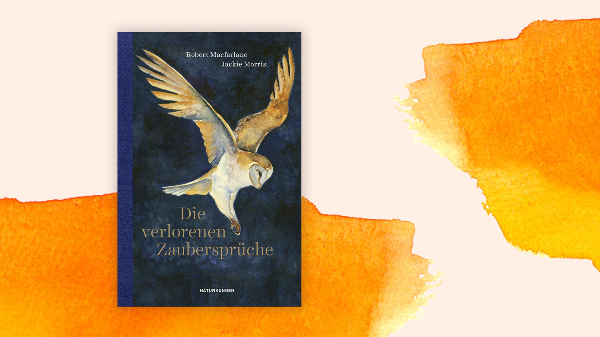Buchcover: "Die verlorenen Zaubersprüche" von Robert Macfarlane Buchcover: "Die verlorenen Zaubersprüche" von Robert Macfarlane