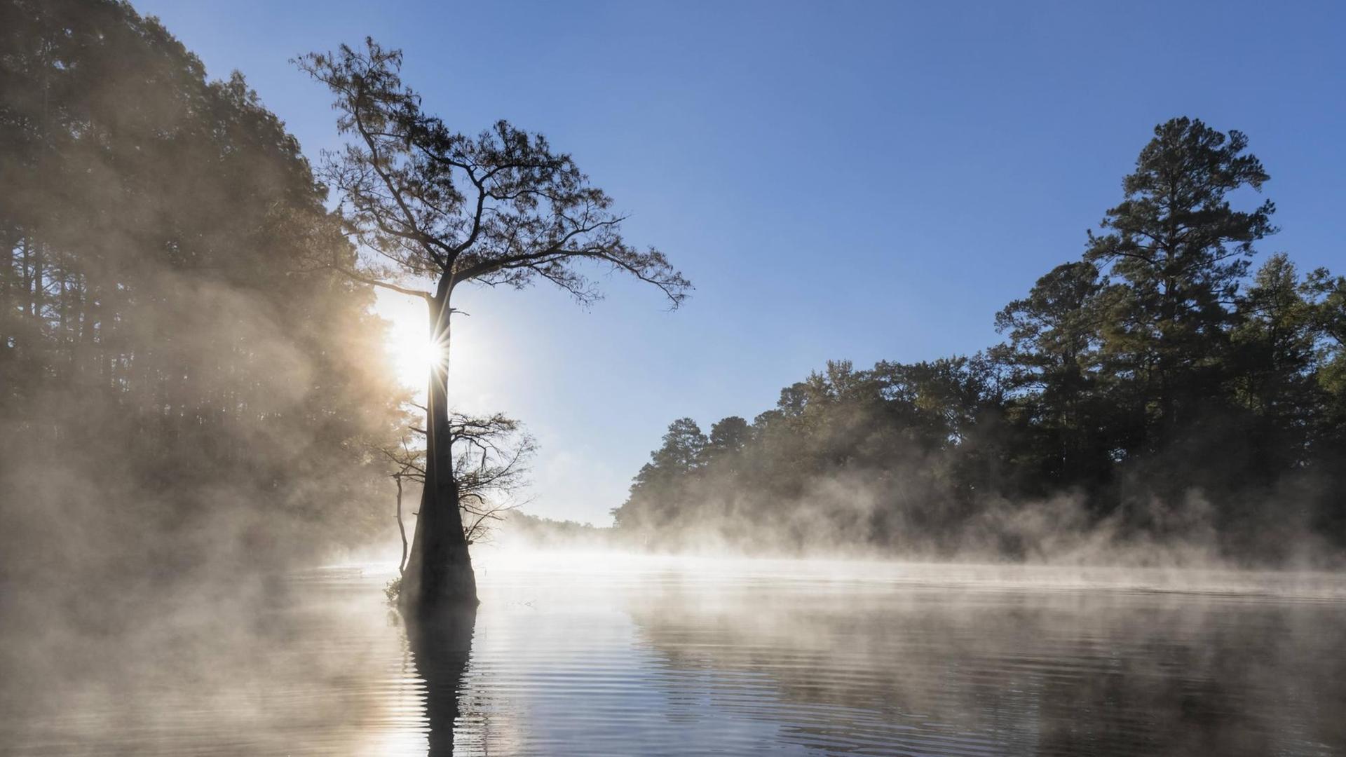Das Foto zeigt einen See in Louisiana, USA, mit aufgehender Sonne. Das Foto zeigt einen See in Louisiana, USA, mit aufgehender Sonne.