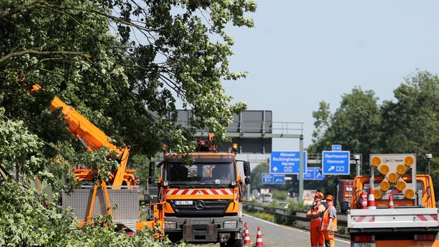 Mitarbeiter der Autobahnmeisterei Gelsenkirchen beseitigen am 10.06.2014 auf der A43 in Recklinghausen (Nordrhein-Westfalen) entwurzelte Bäume.
