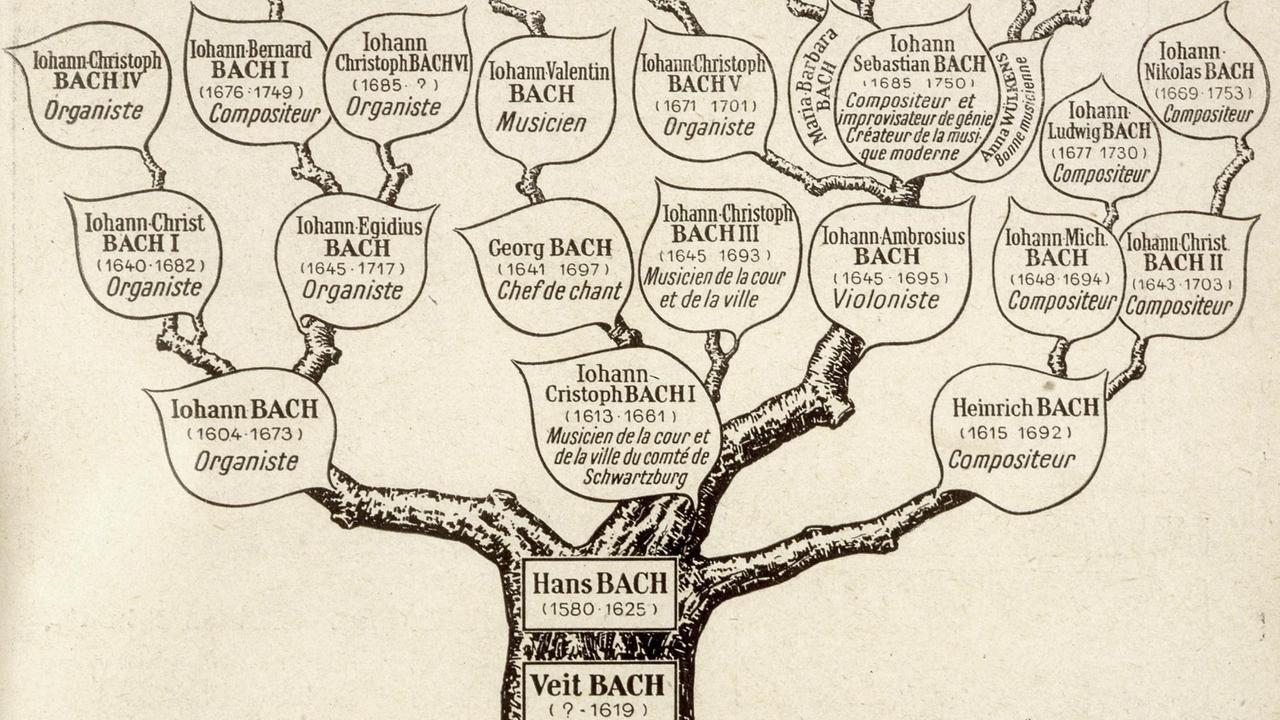 Anhand eines Stammbaumes wird deutlich, welcher Nachkomme einen Musikerberuf ergriffen hat. Anhand eines Stammbaumes wird deutlich, welcher Nachkomme einen Musikerberuf ergriffen hat.