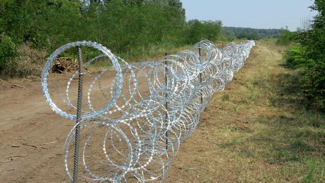 Über 175 Kilometer erstreckt sich Ungarns Zaun an der Grenze zu Serbien