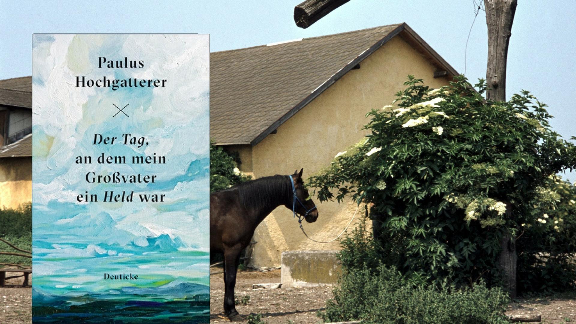 Bauernhof in Österreich / Cover "Der Tag, an dem mein Großvater ein Held war" (Combo: Deutschlandfunk Kultur)