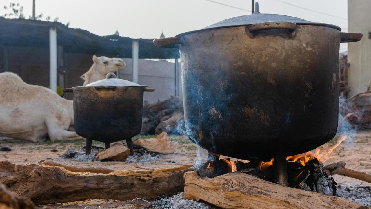 Kochtöpfe auf offenem Feuer und ein Kamel in einem von Toubas Hinterhöfen Kochtöpfe auf offenem Feuer und ein Kamel in einem von Toubas Hinterhöfen