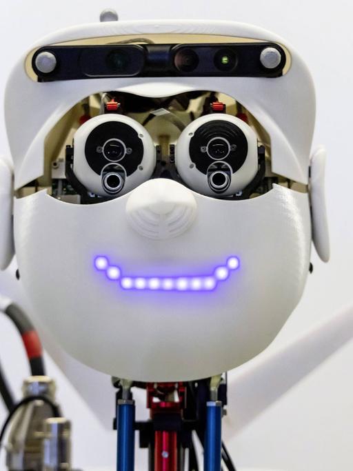 Der Roboter Apollo am Max-Planck-Institut für Intelligente Systeme: Apple, Facebook und Google Paroli bieten