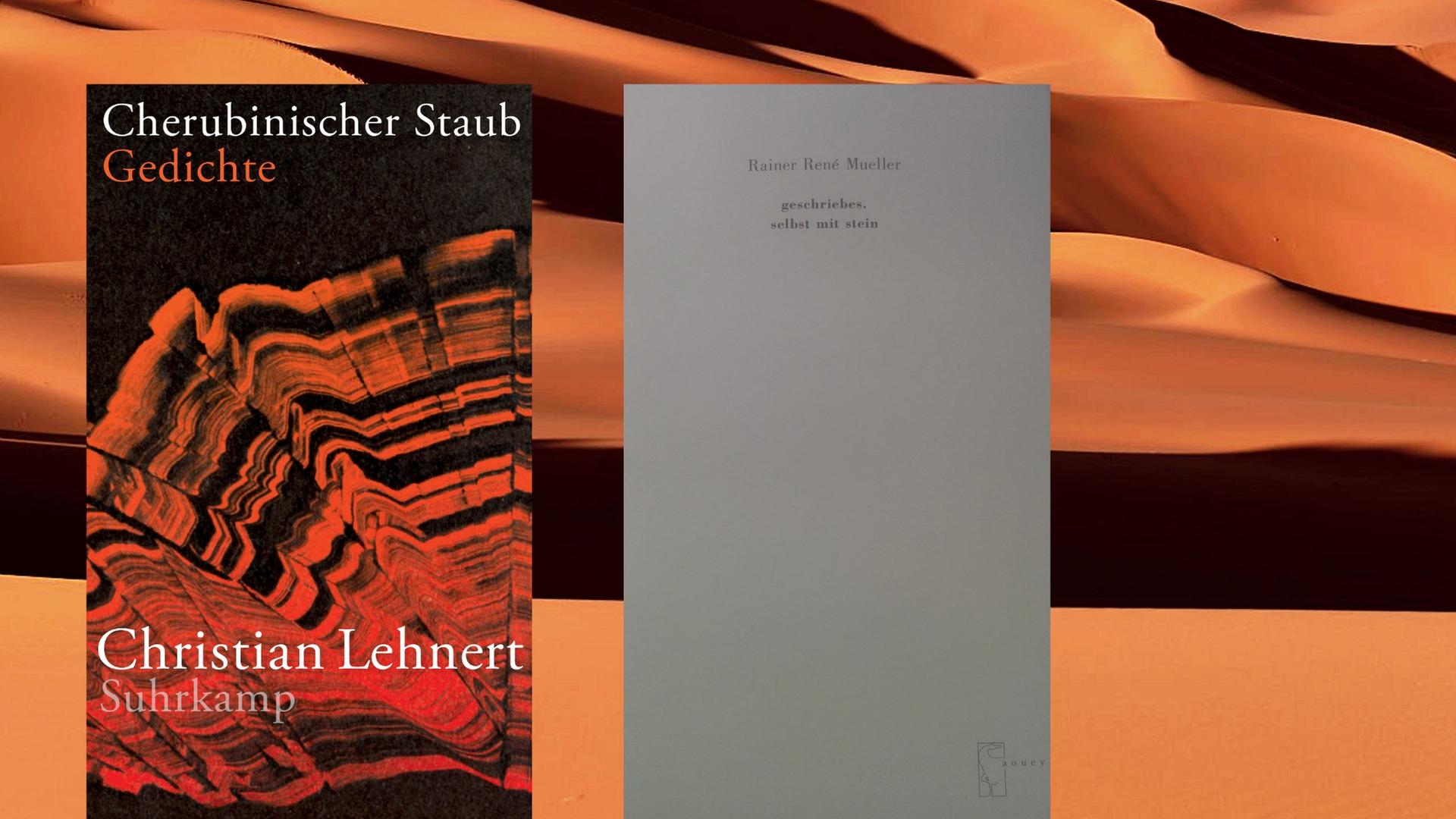 Buchcover: Christian Lehnert: „Cherubinischer Staub - Gedichte“, Buchcover: Christian Lehnert: „Cherubinischer Staub - Gedichte“,