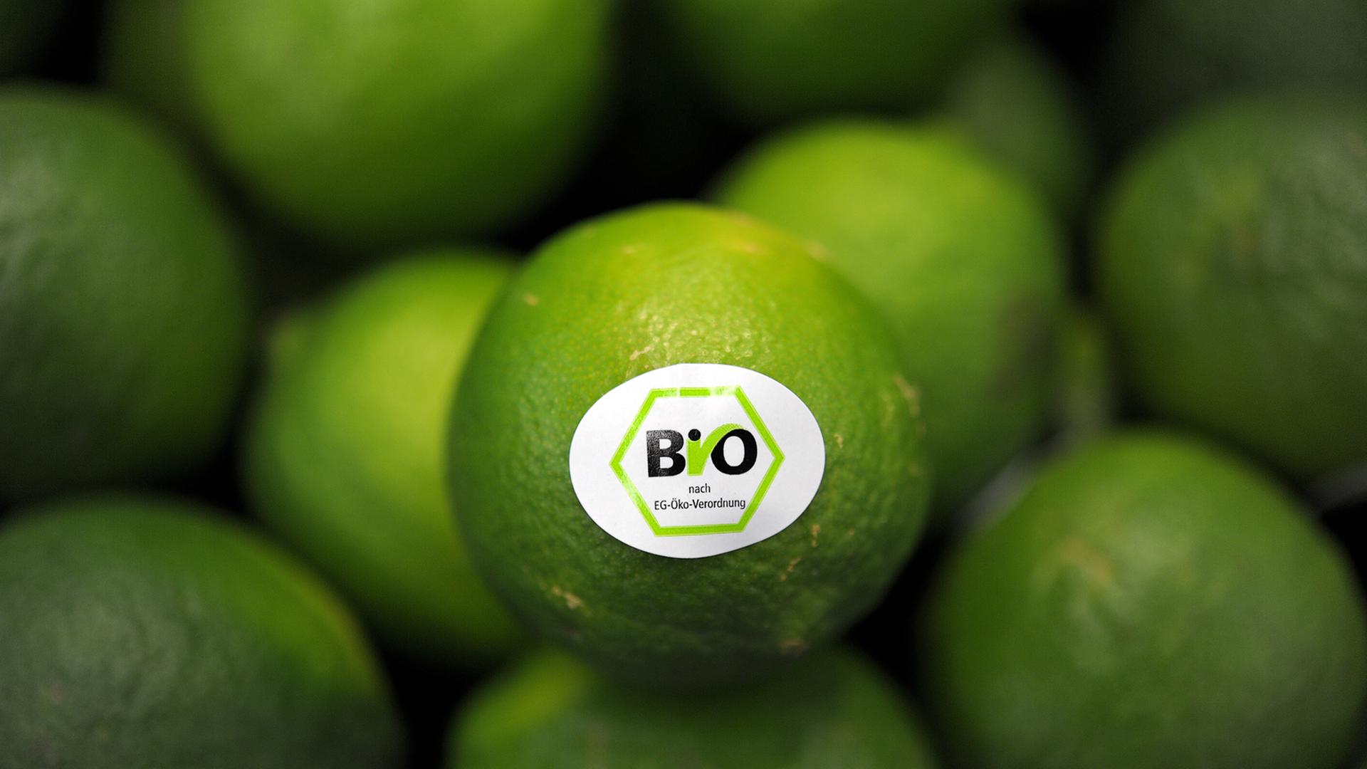 Zu sehen ist ein Haufen Limetten. Auf einer Limette befindet sich ein Aufkleber mit dem Bio-Siegel. Zu sehen ist ein Haufen Limetten. Auf einer Limette befindet sich ein Aufkleber mit dem Bio-Siegel.