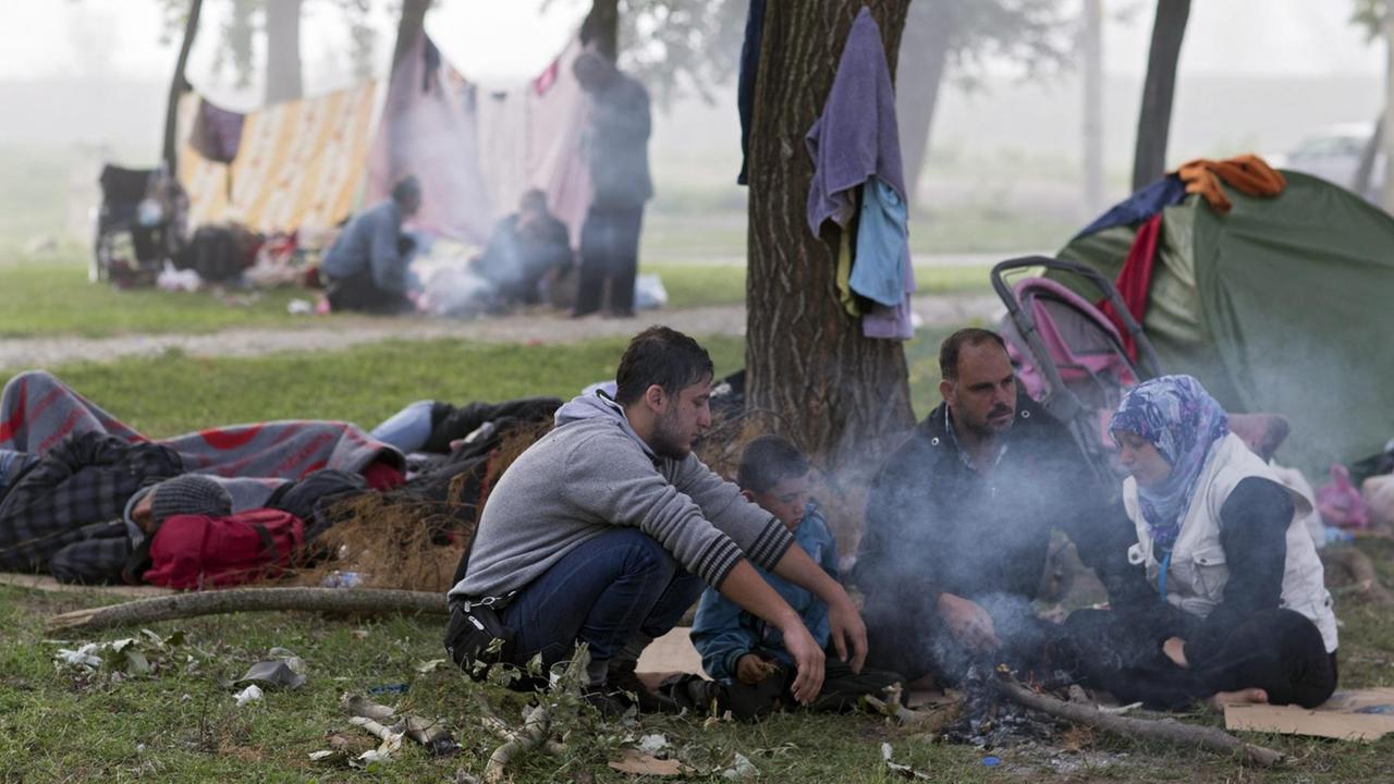 Man sieht eine Gruppe syrischer Flüchtlinge unter einem Baum an einem Feuer in Edirne/Türkei.