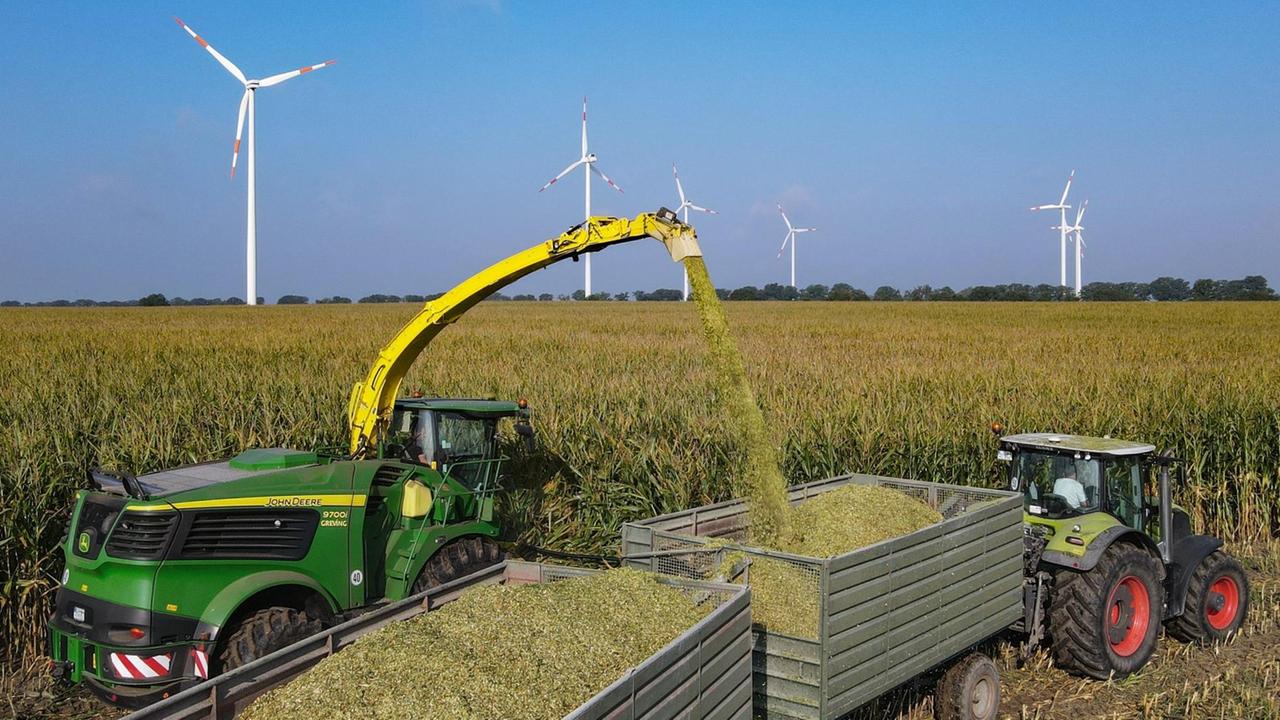 Ein Feldhäcksler erntet Maispflanzen für eine Biogasanlage und befördert diese zerkleinert auf einen daneben fahrenden Traktor mit Anhängern (Luftaufnahme mit einer Drohne). Auf etwa 1,5 Millionen Hektar werden in Deutschland vor allem Mais und Gras für Biogasanlagen angebaut.