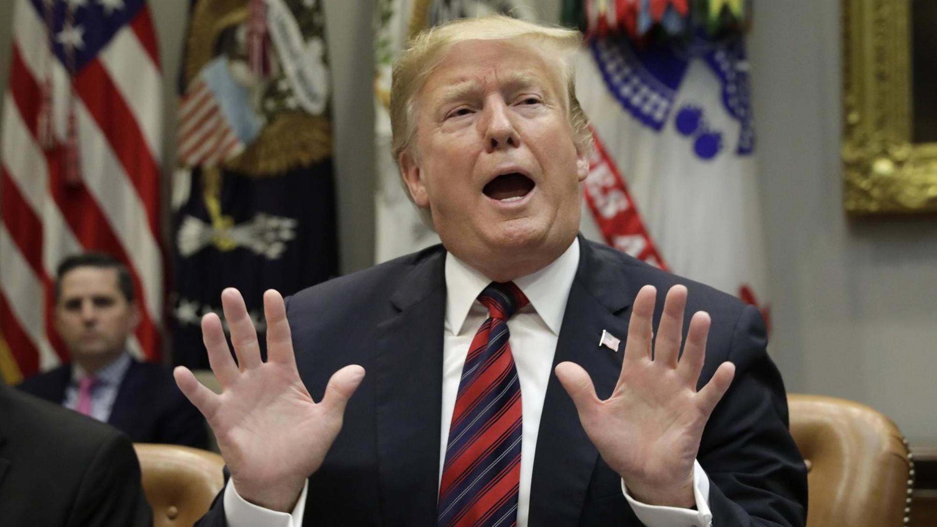 US-Präsident Donald Trump während einer Besprechung im Weißen Haus am 13. März 2019. US-Präsident Donald Trump während einer Besprechung im Weißen Haus am 13. März 2019.